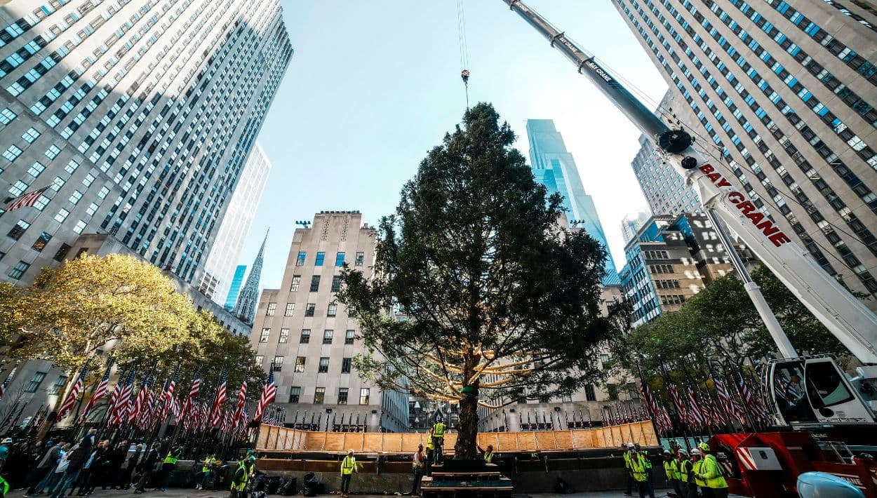Colocan el árbol de Navidad en Rockefeller Center: inicia la temporada navideña en Nueva York