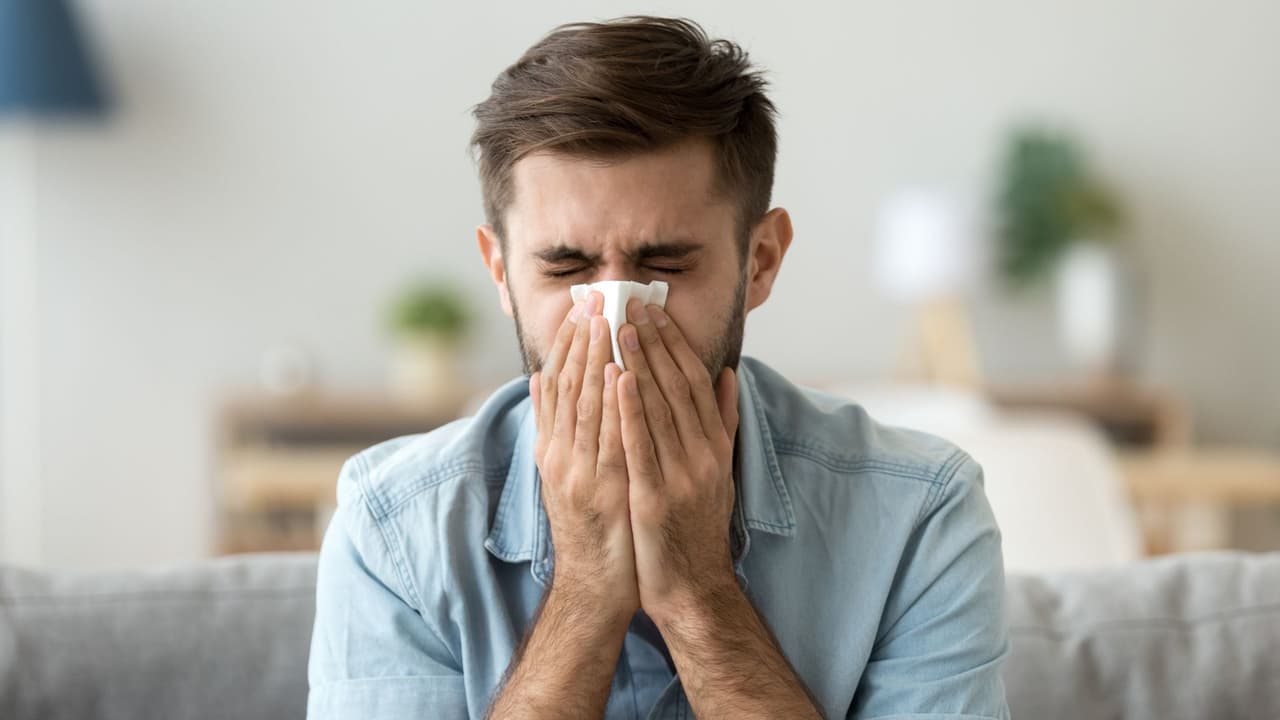 <h3 class="cms-H3-H3">Cómo saber si es alergia y no un resfriado</h3>
<br>
<b><a href="https://www.cdc.gov/climate-health/php/effects/pollen-health.html" target="_blank">Los Centros para el Control y la Prevención de Enfermedades (CDC)</a></b> lo resumen de forma directa: las alergias al polen
<b>causan estornudos, congestión, picazón y ojos llorosos.</b>
<br>👉🏻
<b>No hay fiebre</b> y duran semanas.