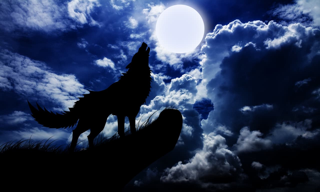 <b><u>Enero, luna del lobo</u></b>
<br>
<b><u>Signo que la rige: Capricornio, y el Buey en el horóscopo chino</u></b>
<br>A la Luna llena de enero los nativos americanos la llamaban “la Luna del Lobo"
<b> </b>por el aullido de los lobos hambrientos que lamentan la escasez de alimento en pleno invierno.
<br>