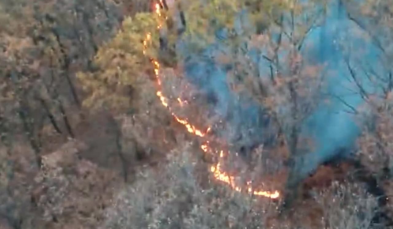 Incendios forestales en Manhattan y Queens: esto sabemos de ellos