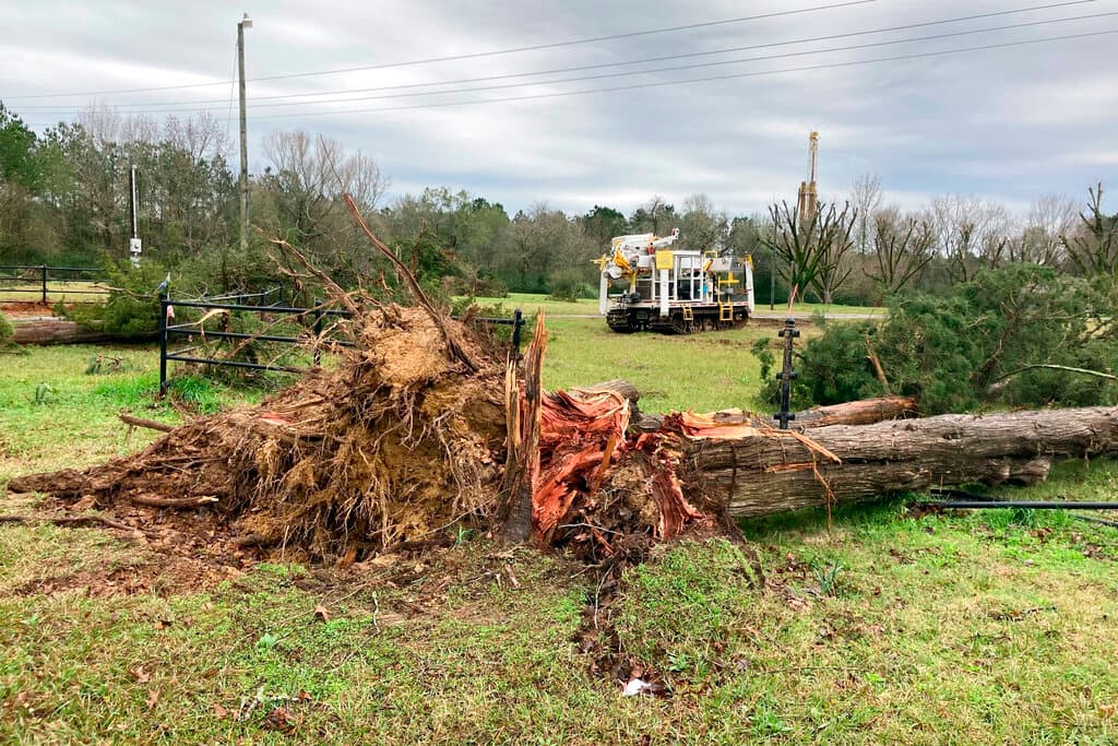 Un árbol fue arrancado de cuajo por el viento en Keithville, Louisiana.