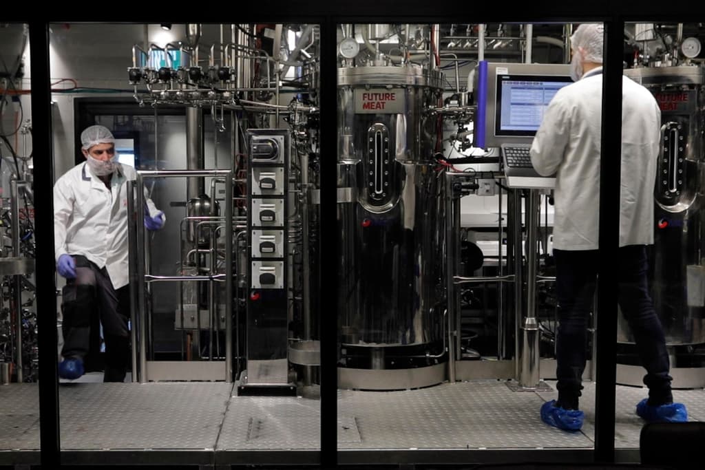 La carne de laboratorio ya es una realidad, ¿reemplazará la carne tradicional?