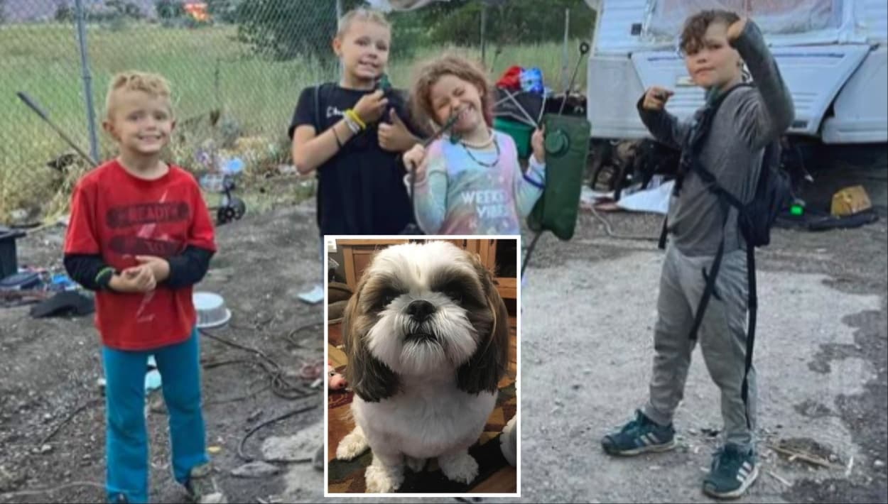 La vida de una familia sin hogar está a punto de cambiar gracias a un perrito