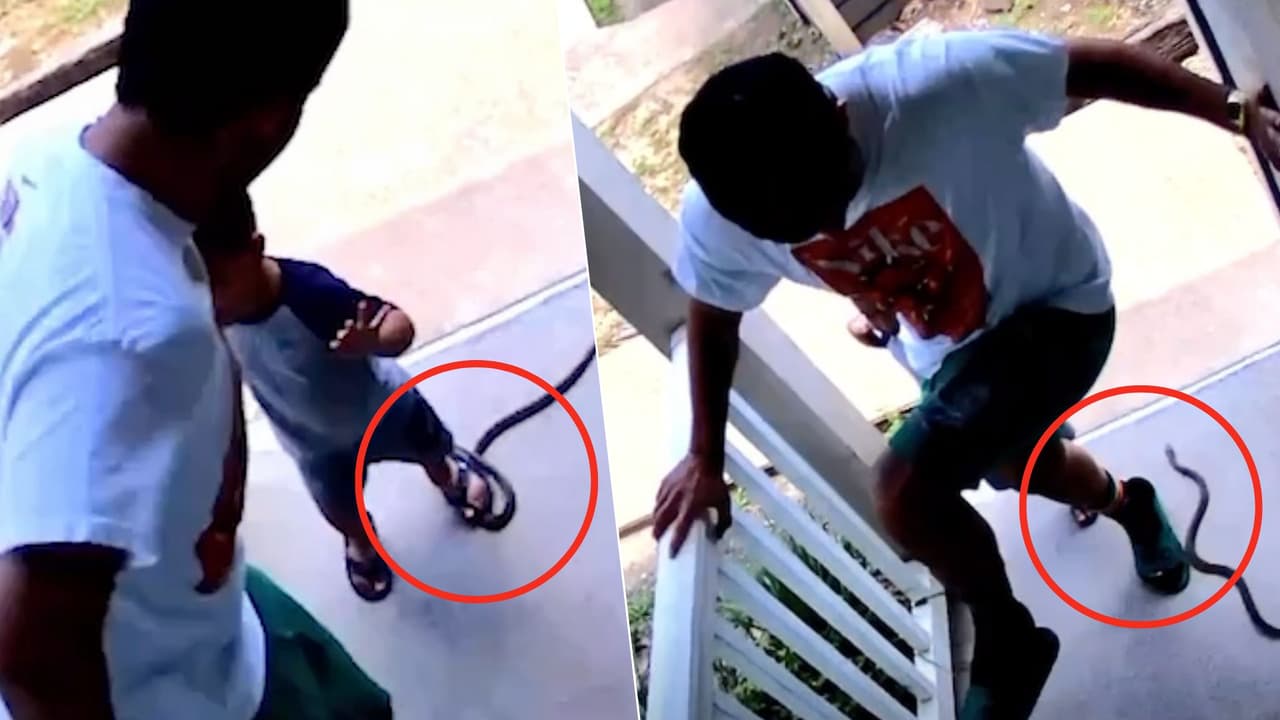 Familia llega a casa y los recibe ¡Una serpiente!, mira dónde se escondía la víbora