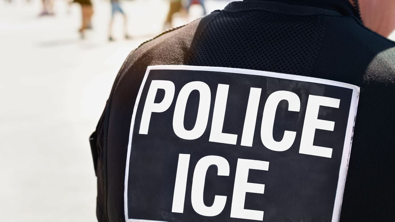 <h3 class="cms-H3-H3">ICE: si estás bajo supervisión </h3>
<br>
<br>
<b>Qué es ICE ERO:</b> La Oficina de Ejecución y Remoción de ICE (Enforcement and Removal Operations) supervisa a personas que tienen una orden, se presentan a “check-ins” o están en programas como ISAP.
<br>
<b>Plazo: </b>Debes
<b>actualizar tu dirección lo antes posible</b> y seguir las instrucciones específicas de tu oficial o de la oficina local.
<br>
<br>
<b>¿Cómo hacerlo? </b>
<br>Usar
<b><a href="https://portal.ice.gov/ocoa" target="_blank">el portal de cambio de domicilio de ICE</a>. </b>
<br>Llamar o presentarte a tu oficina local para confirmar que el cambio quedó registrado.
<b>Llevar identificación, tu número A y prueba de residencia.</b>