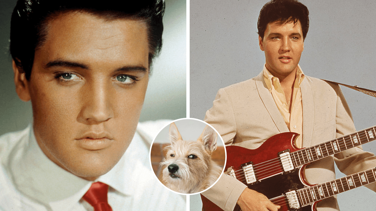 3 teorías que aseguran que Elvis Presley no murió: te harán dudar si sigue vivo