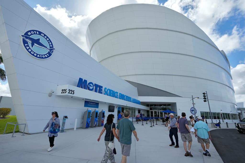 Nuevo acuario en Sarasota: cientos de animales marinos estrenan hogar
