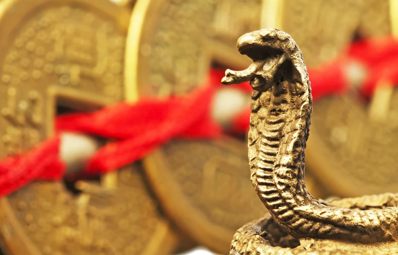 <b>LEO</b>
<br>La serpiente china te hará seguir siendo el monarca del Zodiaco, atrayendo puras riquezas a todos niveles.