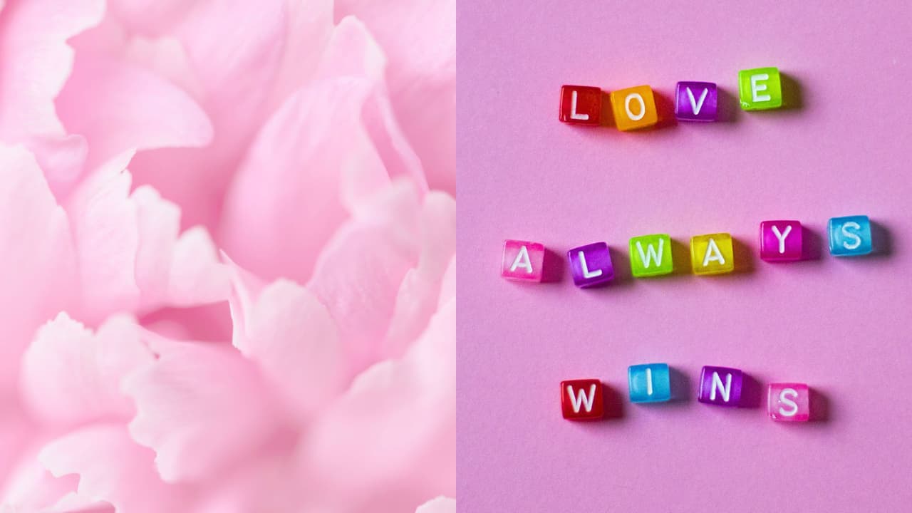 Hoy es el Día Internacional del Rosa: Descubre el origen y significado detrás de esta fecha contra el acoso