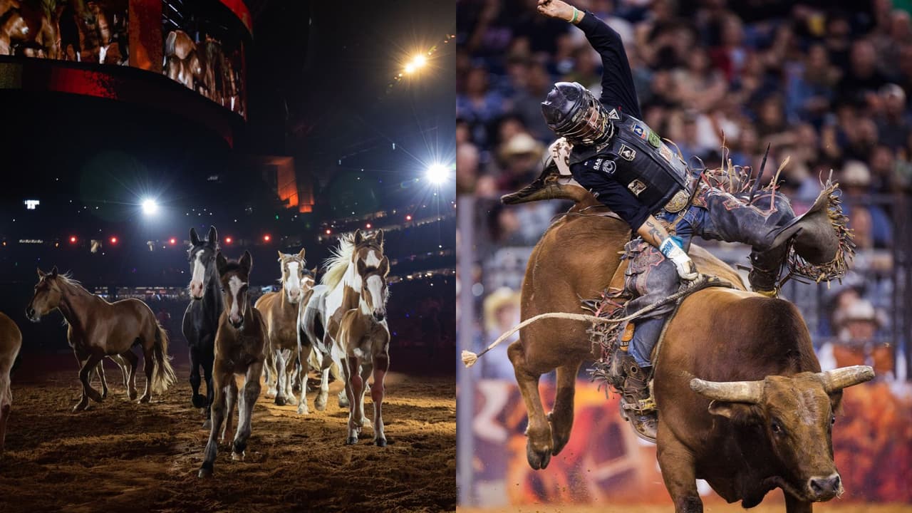 Rodeo Houston actualiza su código de conducta para reforzar la seguridad: hay cambios hasta en la vestimenta