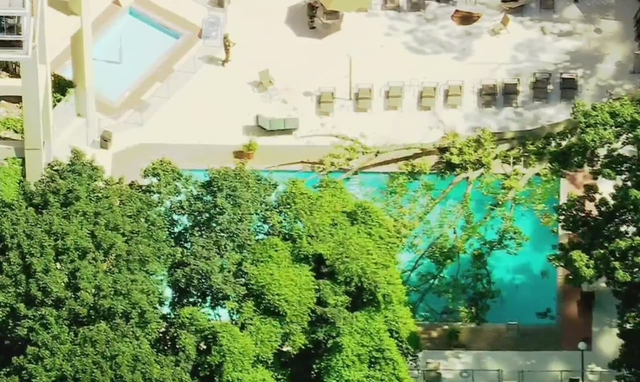 Mujer muere tras caerle árbol cuando se encontraba en una piscina en el Bronx