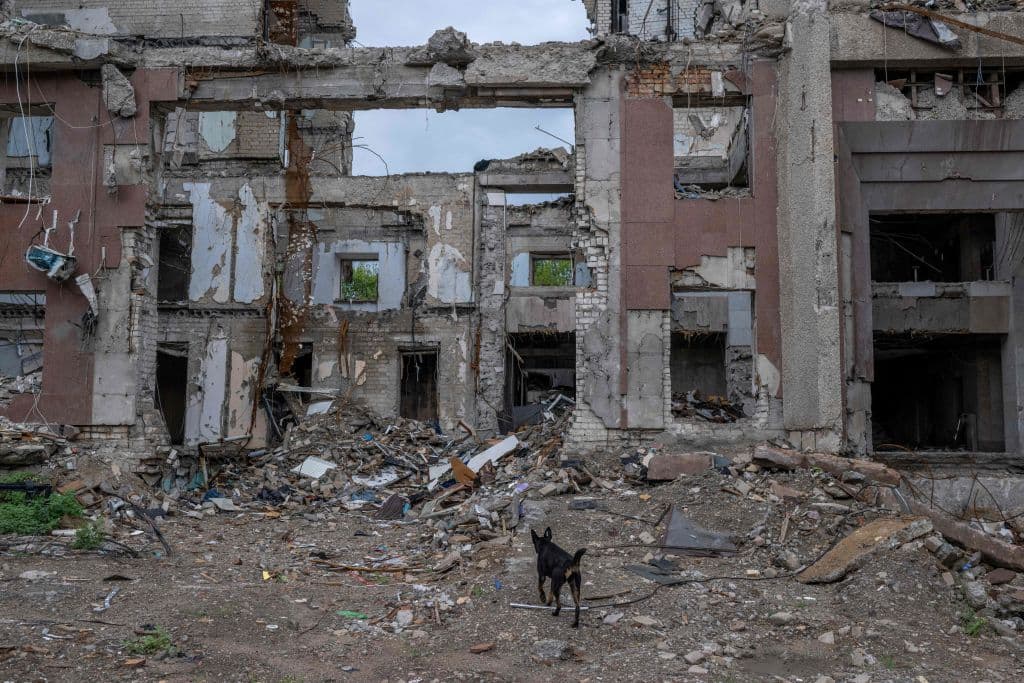 La embajada de EEUU en Kiev también alertó el martes de que Rusia se disponía a intensificar sus bombardeos "en los próximos días" y
<a href="https://www.univision.com/noticias/mundo/eeuu-urge-a-sus-ciudadanos-a-salir-de-ucrania-porque-rusia-intensificara-ataques">pidió a sus ciudadanos salir del país lo antes posible.</a>
