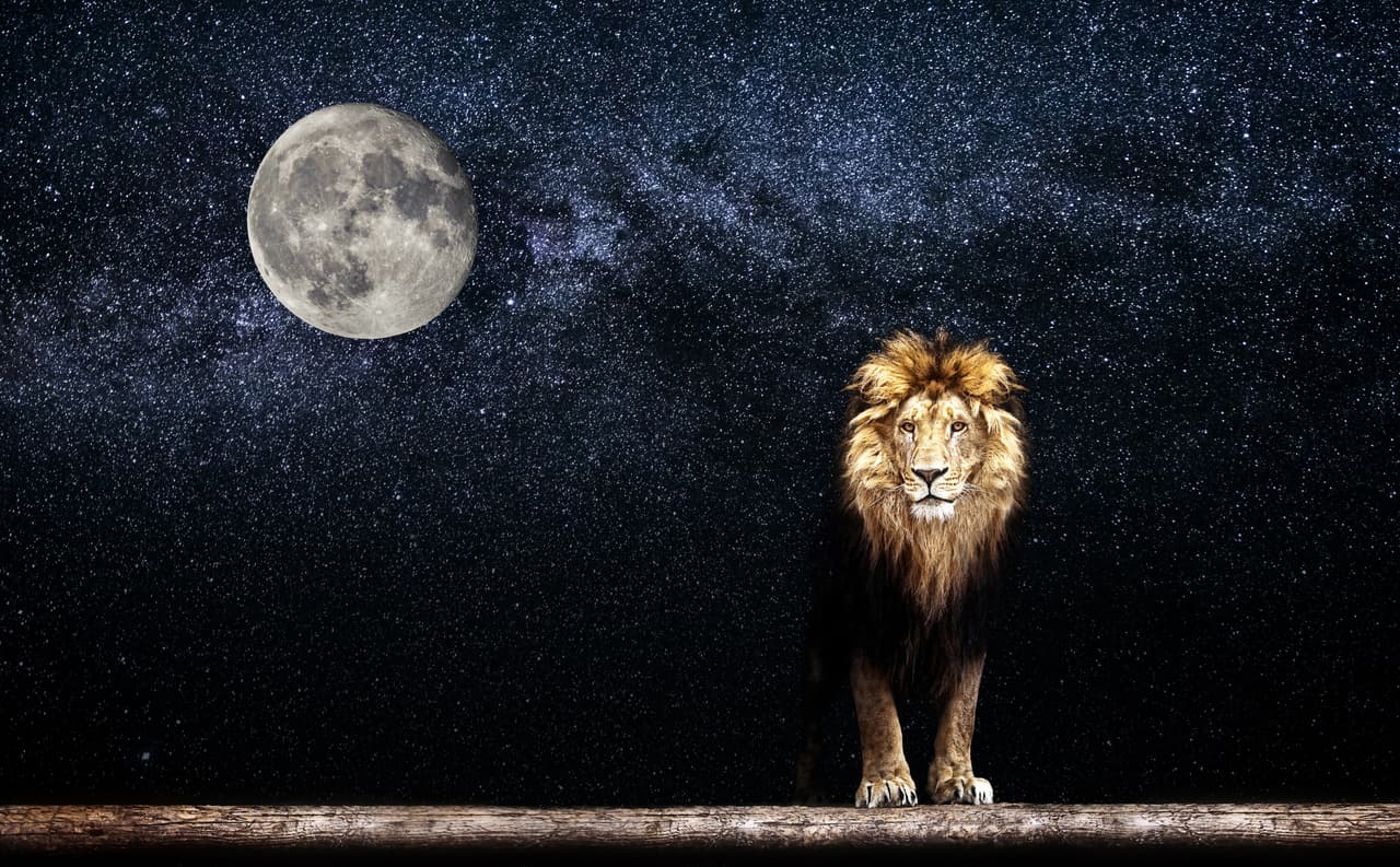 <b>Octubre: la luna del cazador</b>
<br>
<b>Signo que la rige: Libra y Perro en el horóscopo chino</b>
<br>
<br> La primera luna después de la luna de la cosecha es la luna del cazador, así llamada porque es el mes preferido para cazar venados y zorros cebados por el verano incapaces de ocultarse ahora en el campo desierto.
<br>