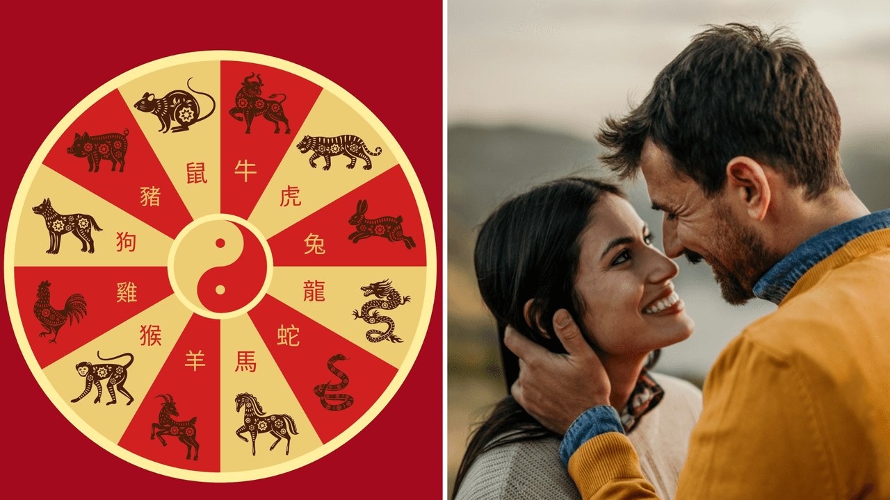 Averigua cómo es tu pareja ideal, según tu horóscopo chino