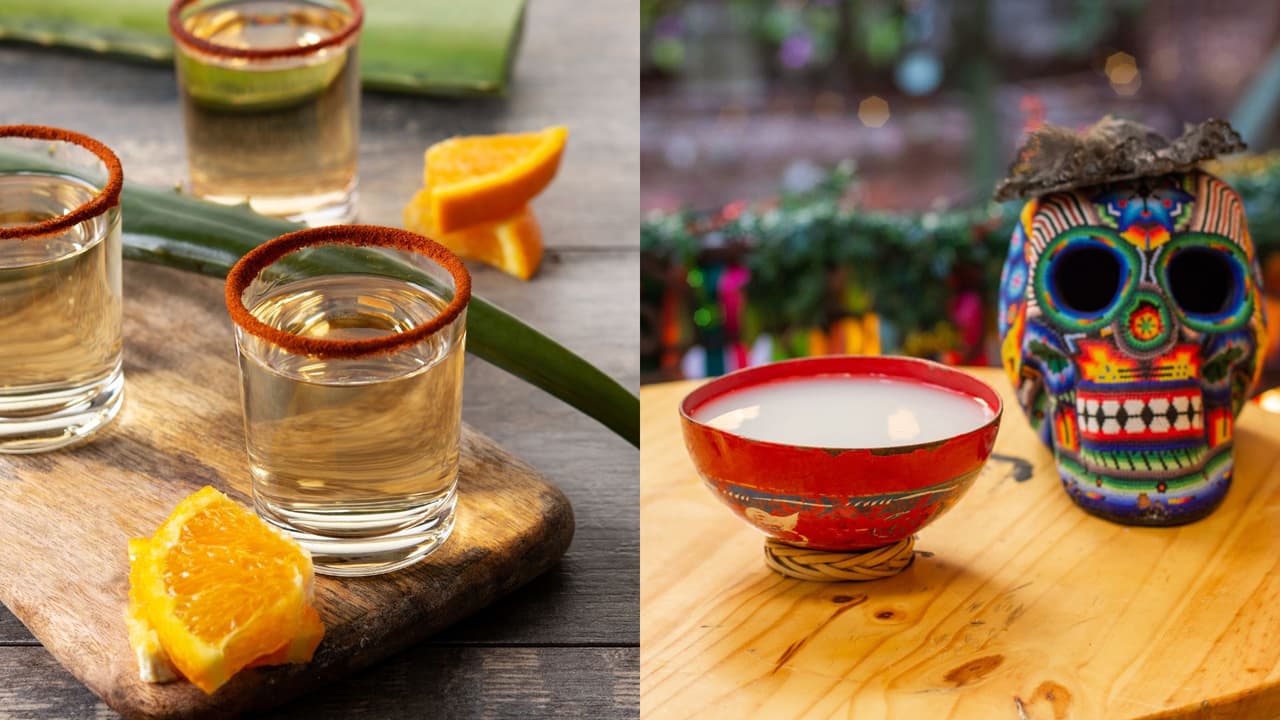 3 bebidas mexicanas que provienen del maguey mexicano: ¡No solo es tequila!