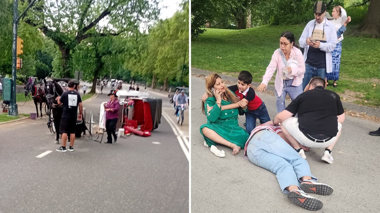 Turista de 18 años muere tras volcar una calesa desbocada en Central Park