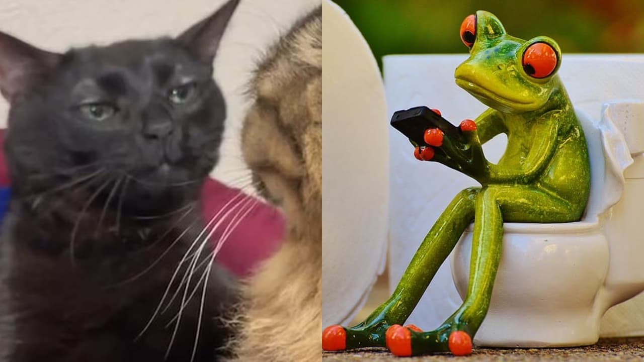 ¿Por qué los hombres pasan tanto tiempo en el baño? Las mejores excusas que han dado