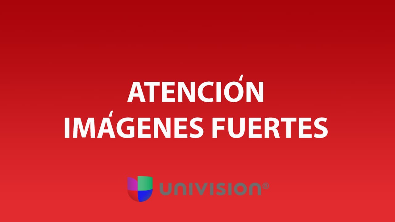 Estas fotografías pueden herir su sensibilidad.