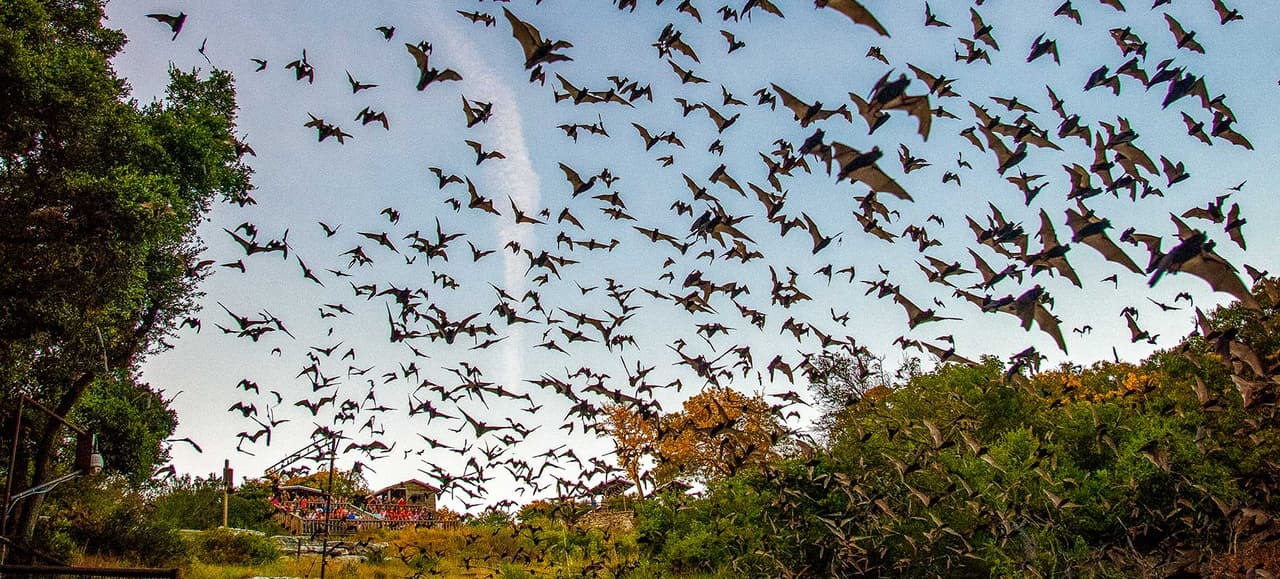 Old Tunnel
<br>
<br>San Angelo
<br>