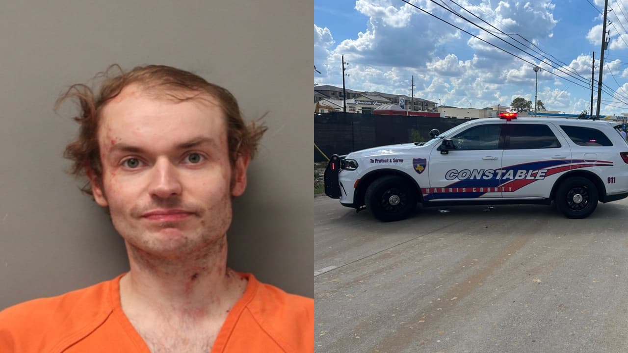 Persecución en Texas termina con conductor herido por un perro policía luego de ignorar órdenes de alto