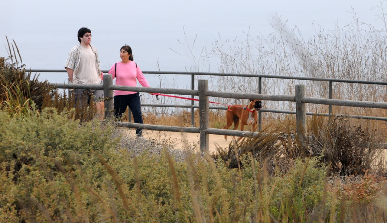 <b>7.</b> Cuando saques a pasear a tu perro, siempre usa correa y camina por áreas transitadas.