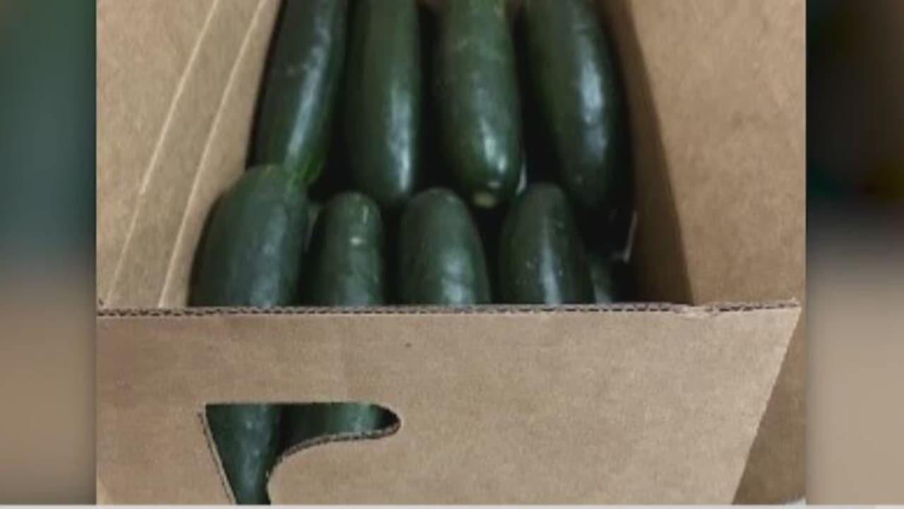 Nueva York entre los estados más afectados por brote de salmonela vinculada a pepinos