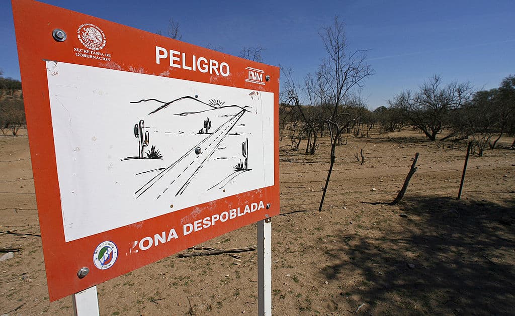 El lugar más caliente de la Tierra es el desierto de Sonora, México. En 2021, la Organización Meteorológica Mundial registró temperaturas de
<b>177.4 grados Fahrenheit (80.8 grados Celsius)</b>, convirtiendo a este punto
<b>en el lugar más cálido de todo el planeta</b>. La NASA han observado que México es el país que más rápido se ha calentado en el mundo como consecuencia de la crisis climática.