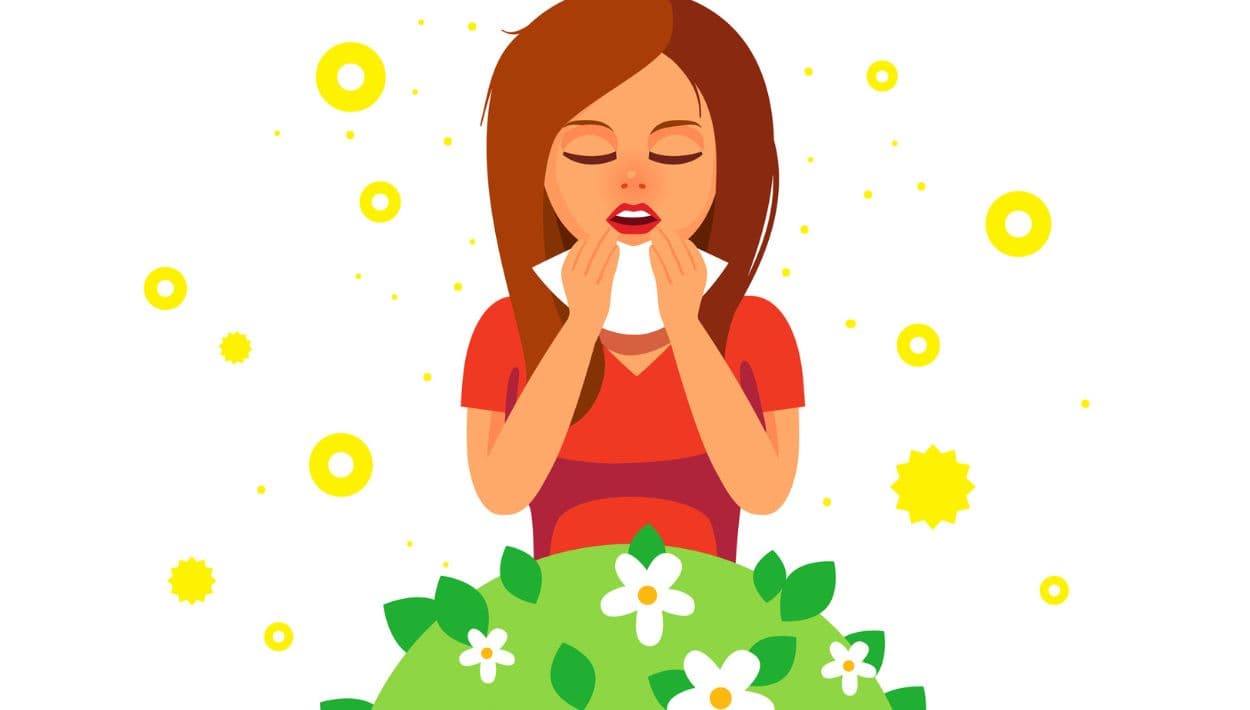 Cómo sobrevivir a las alergias: consejos para mantenerlas bajo control