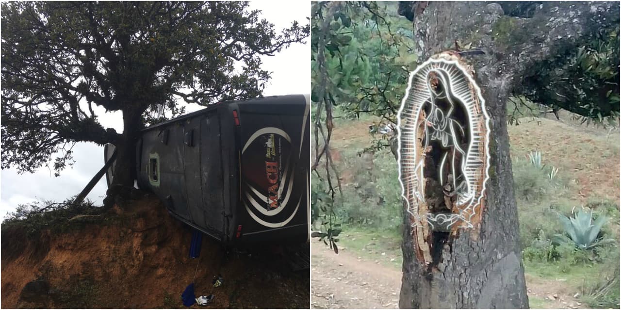 Músicos creen que la Virgen de Guadalupe se les apareció en el árbol contra el que chocó su autobús
