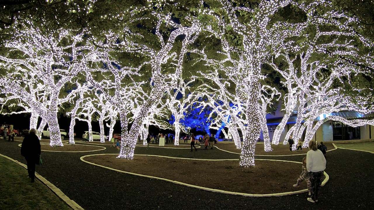 <a href="https://www.univision.com/local/austin-kakw/regresa-el-bosque-magico-alumbrado-con-millones-de-luces-en-johnson-city-para-celebrar-navidad-fotos"><b>El espectáculo es gratuito y también cuenta con estacionamiento.</b></a>
