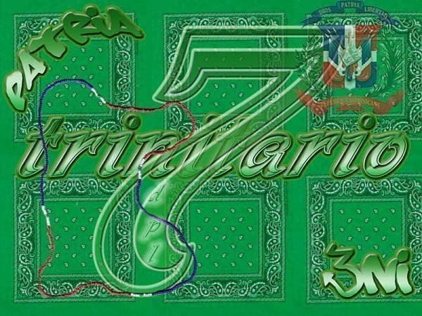 <b>Los Trinitarios. </b>Surgieron en la prisión Rikers Island de Nueva York en 1989, cuando los presos dominicanos se unieron para protegerse de los ataques de los demás reclusos. Se expandieron por todo el sistema de prisiones y fuera de la cárcel en Upper Manhattan y el Bronx. Es considerada la pandilla dominicana más grande del país y controlan zonas muy localizadas en Delaware, Maryland, Rhode Island, Alaska, Carolina del Norte, Ohio, Pennsylvania, Connecticut, Florida, Massachusetts, New Hampshire, Virginia, Illinois y Nueva York, y tienen miembros en Sudamérica, el Caribe y Europa. Se identifican con los machetes,
<a href="https://www.univision.com/nueva-york/wxtv/noticias/actividad-de-pandillas/quienes-son-los-trinitarios-la-banda-que-mato-a-machetazos-a-un-joven-dominicano-por-error">las armas que utilizan en sus ataques</a>. Su color es el verde y sus delitos incluyen el narcotráfico, asalto, robo, invasiones a domicilio, secuestro, robo de automóviles y asesinato.