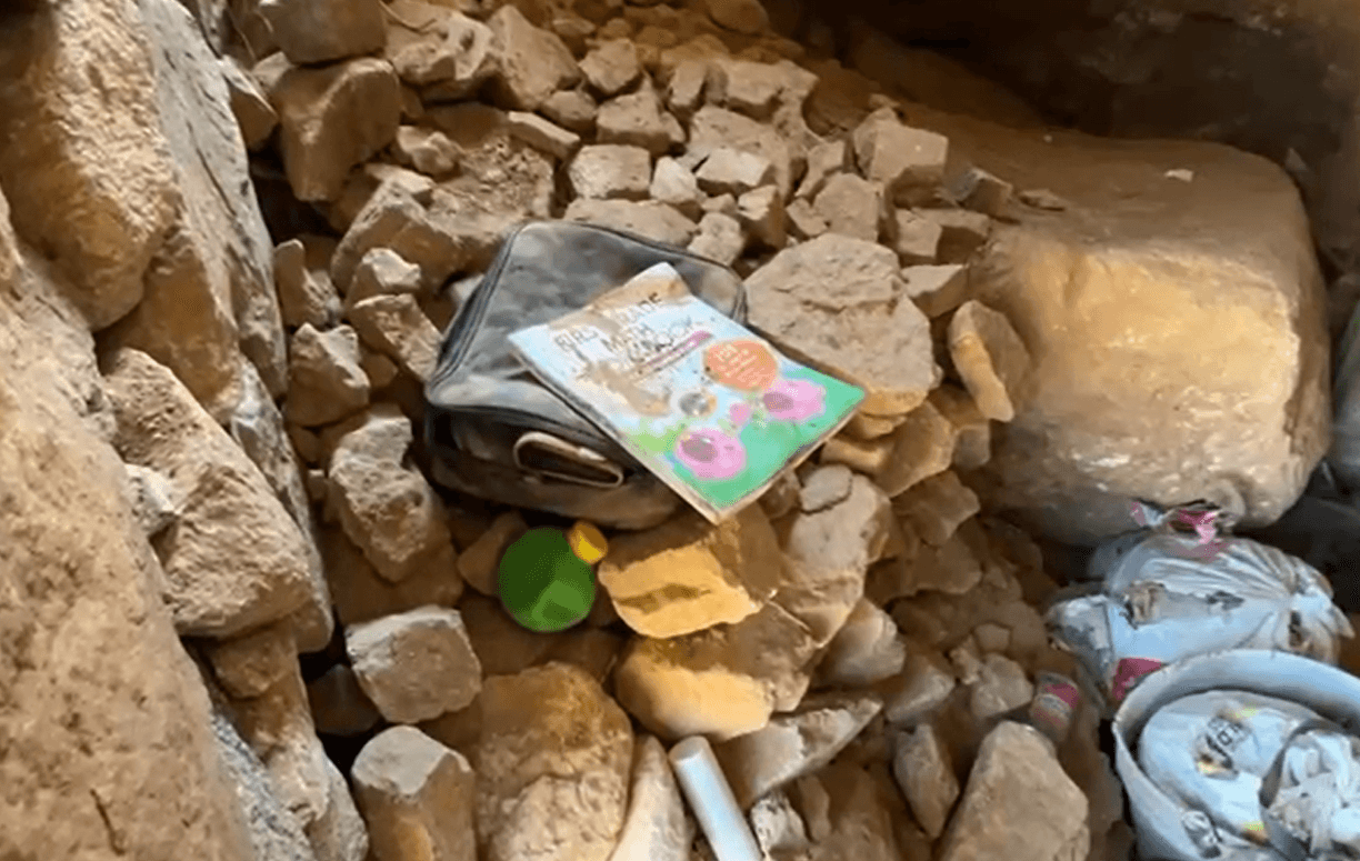 Dentro de una pequeña mochila estaba
<b>un colorido libro</b>.