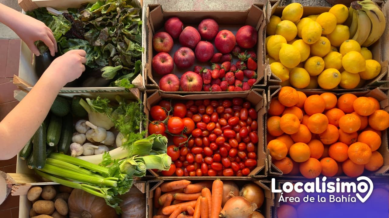 ¿Buscas frutas y verduras frescas a buen precio? Los mercados de agricultores te esperan