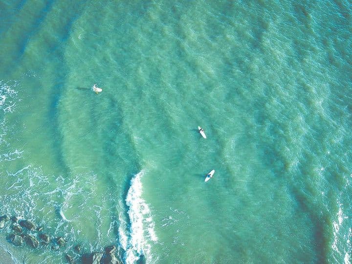 <b>Little Tybee Island Beach</b>
<br>Sitio web:
<a href="https://visittybee.com/article/little-tybee">https://visittybee.com/article/little-tybee</a>
<br>
<b><a href="https://goo.gl/maps/DjZHHqDSa3gPLAzs8">Cómo llegar</a> </b>
<br>
<br>Justo al sur de la isla barrera se encuentra una reserva natural pura y deshabitada llamada Little Tybee Island. A menudo pasada por alto por quienes visitan la zona, este tesoro escondido es en realidad el doble del tamaño de Tybee Island y solo se puede acceder a él en barco.