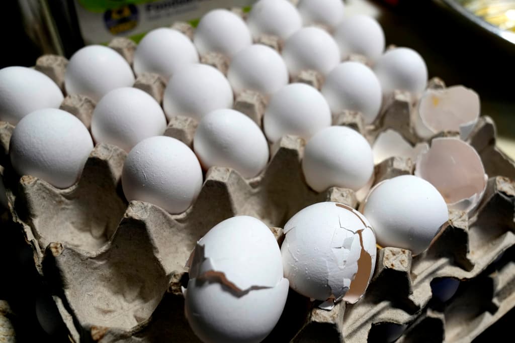 FDA ordena retiro de huevos por brote de salmonela en 7 estados de EEUU