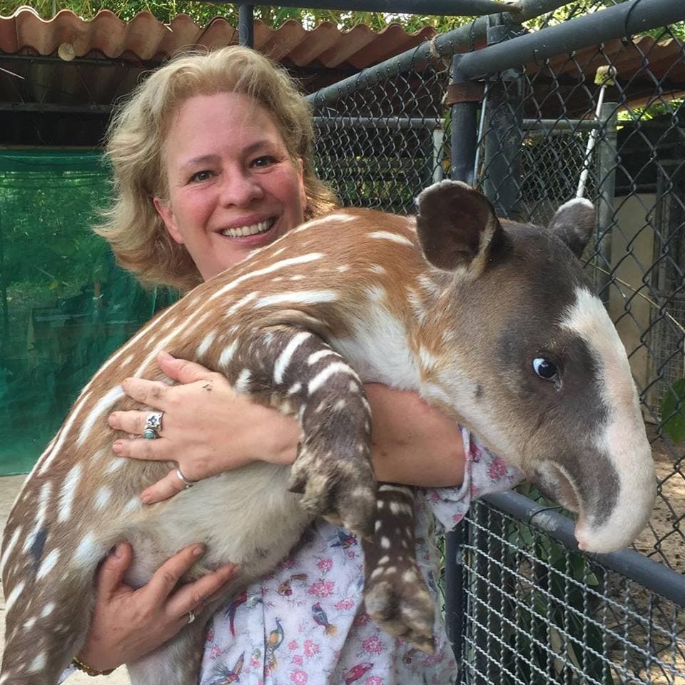 <b>SECRETARÍA DEL MEDIO AMBIENTE:</b> La ocupará
<b>Josefa González Blanco Ortíz Mena</b>, quien es egresada de la Escuela de Derecho de la Universidad Anáhuac. Realizó el primer y más exitoso programa de reintroducción de la guacamaya roja que estaba por extinguirse en Verazruz y ahora tiene una población de 114 individuos en libertad. Tareas similares ha realizado con cocodrilos, iguanas, tortugas, y monos aulladores o saraguatos. En su administración, tendrá como prioridad restaurar la red hídrica del país y frenar la contaminación en los acuíferos, así como revertir el reciente decreto de privatización del agua.