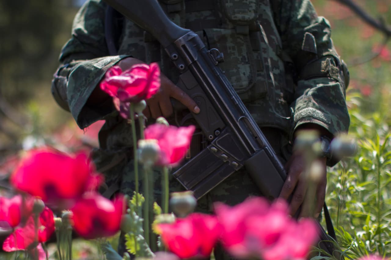 En 2016 las autoridades mexicanas reportaron la presencia de nueve cárteles del narcotráfico y 37 células delictivas.