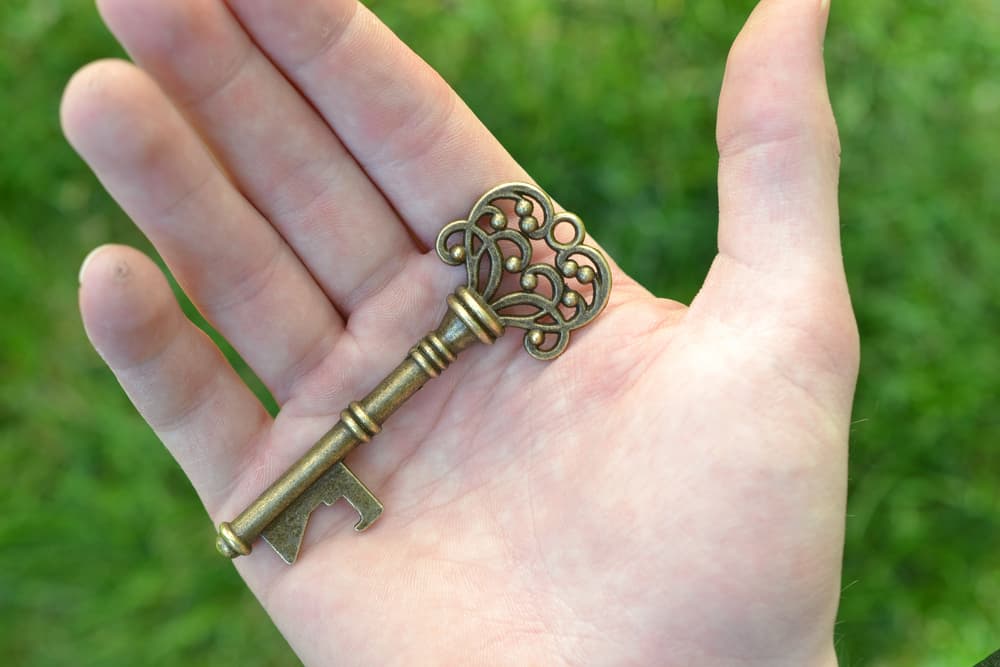 <b>ARIES</b>
<br>Las llaves abrirán las puertas del éxito y la prosperidad para ti. Lleva contigo una llave antigua de metal o usa una pequeña como dije que cuelgues alrededor de tu cuello.