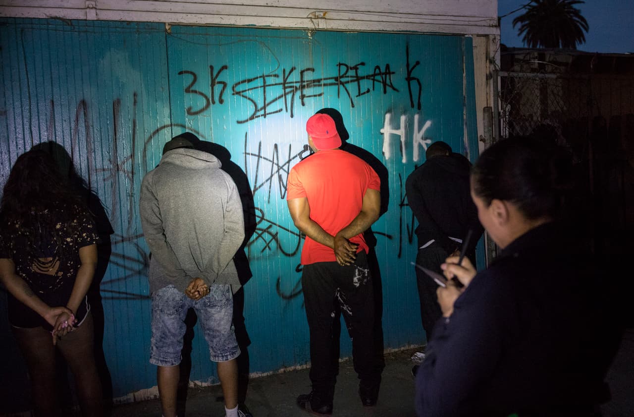 <b>Crips.</b> Es una asociación de numerosos grupos bien estructurados y otros menos organizados llamados
<i>sets</i> (patotas o cuadrillas, en español), que adoptaron una cultura de pandillas común. Cada
<i>set</i> varía en su estructura y pueden carecer de liderazgo formal o tener jefes locales con subordinados. Se componen principalmente de jóvenes afroestadounidenses entre 10 y 40 años y se establecieron en Los Ángeles a principios de los 60. Las autoridades han identificado a miembros de Crips en todos los estados, excepto West Virginia y Vermont. Aunque su principal fuente de ingresos es la distribución de drogas se han involucrado en todo tipo de crímenes. Se identifican con los colores azul y púrpura, y con las letras BK (por Blood Killas, o asesinos de Bloods, sus rivales). En la fotografía, un grupo de sospechosos de pertenecer a la pandilla Crips son arrestados en Los Ángeles en 2017.