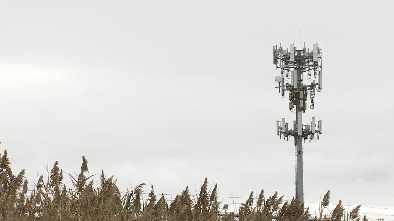 ICE in New York has a spy tool to hunt undocumented immigrants via their cell phones