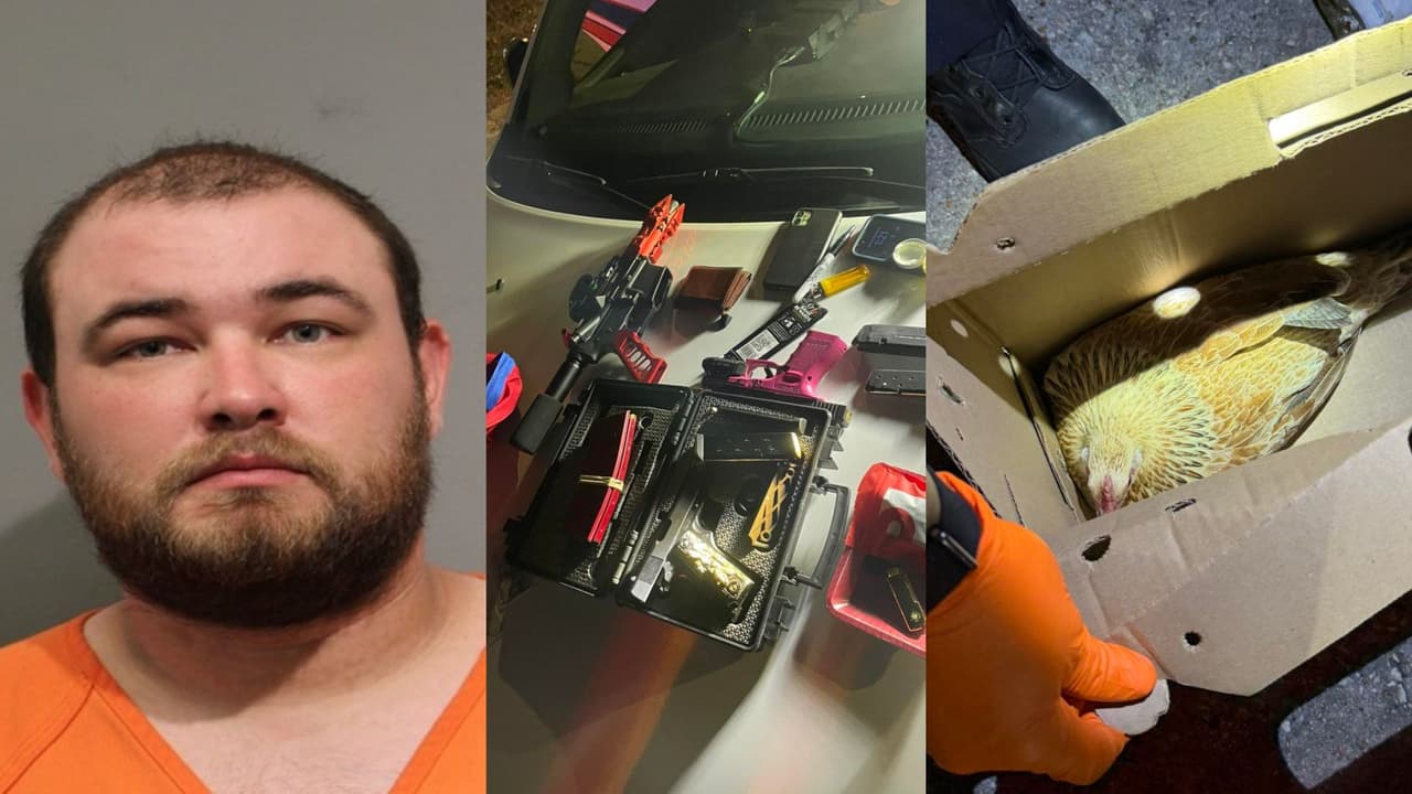 Detienen a conductor en Texas con varias armas cargadas, marihuana y hasta gallinas en su auto