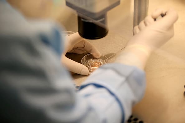 “La infertilidad no discrimina”: afecta a 1 de cada 6 personas en el mundo, alerta la OMS