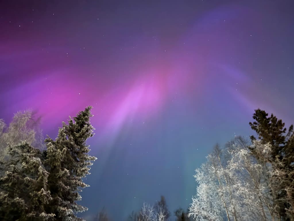 Cuándo y dónde serán visibles auroras boreales en Estados Unidos esta semana tras una poderosa tormenta solar