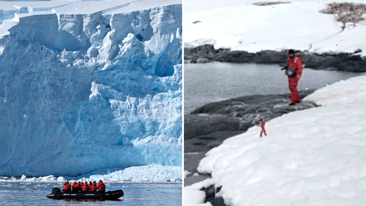 Captan a una persona diminuta en un lugar recóndito de la Antártida: video desata teorías en TikTok