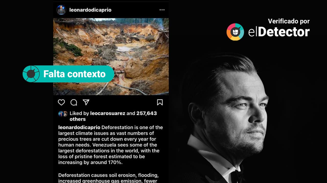 La deforestación en Venezuela es acelerada, pero no hay datos para afirmar que es de las mayores del mundo como dijo Leonardo DiCaprio