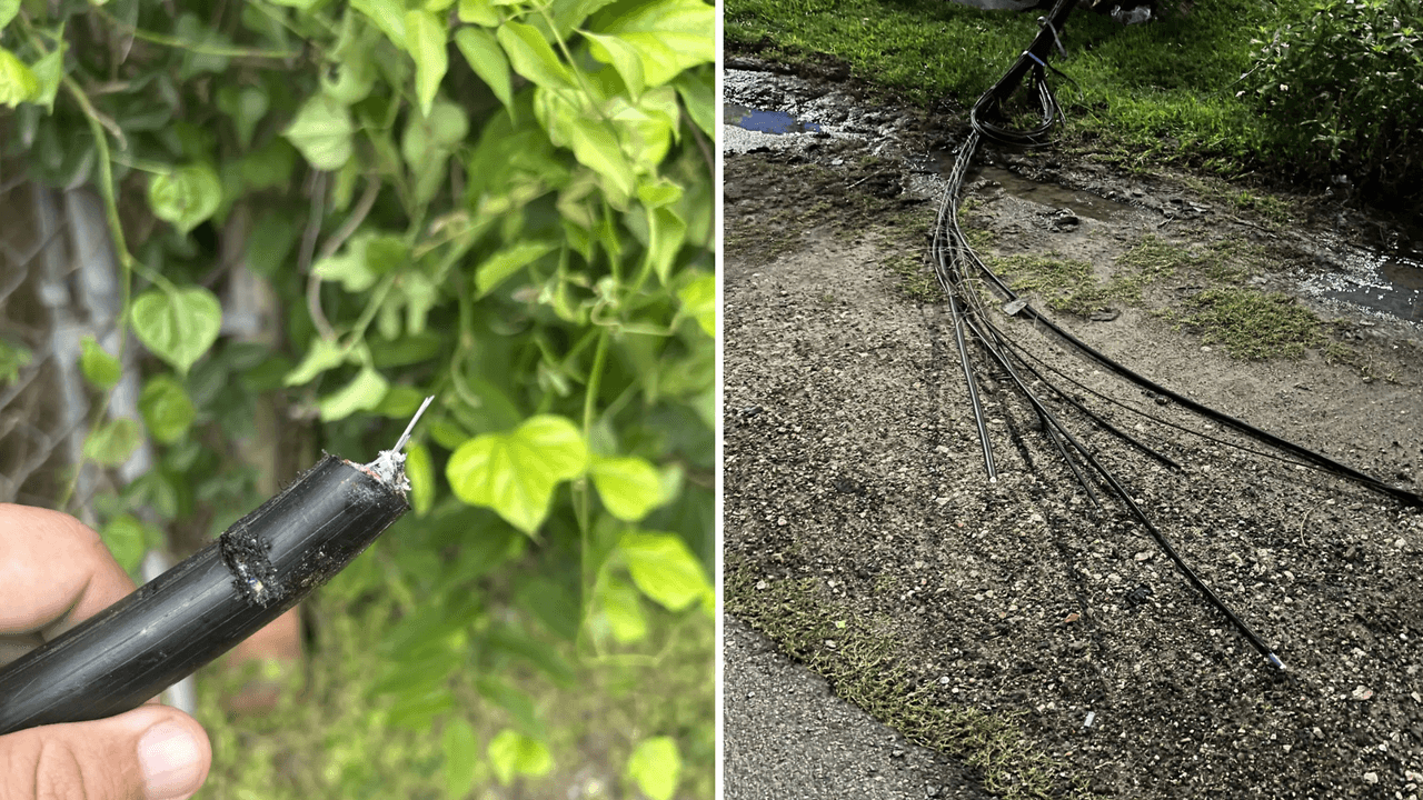 Supuesto vandalismo a cables de telecomunicaciones causa apagón de Xfinity en Houston