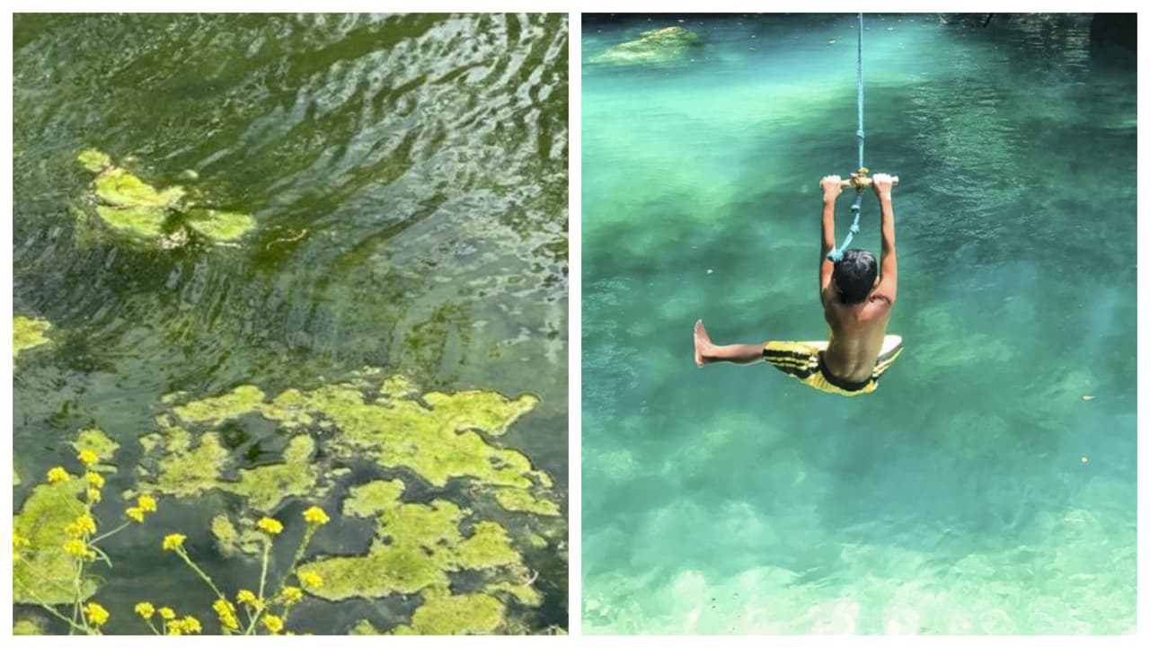 Alertan por alga tóxica en lagos de Texas: piden evitar nadar o tomar agua de ellos