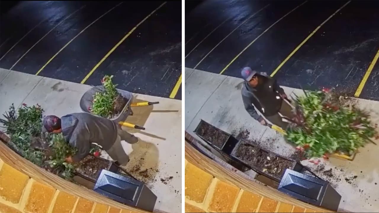 Policía de Aurora pide ayuda para identificar a presunto ladrón de plantas