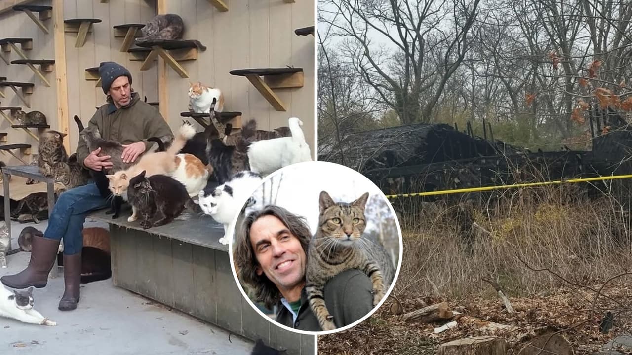 Dueño de santuario felino muere intentando salvar a sus gatos de incendio en Long Island