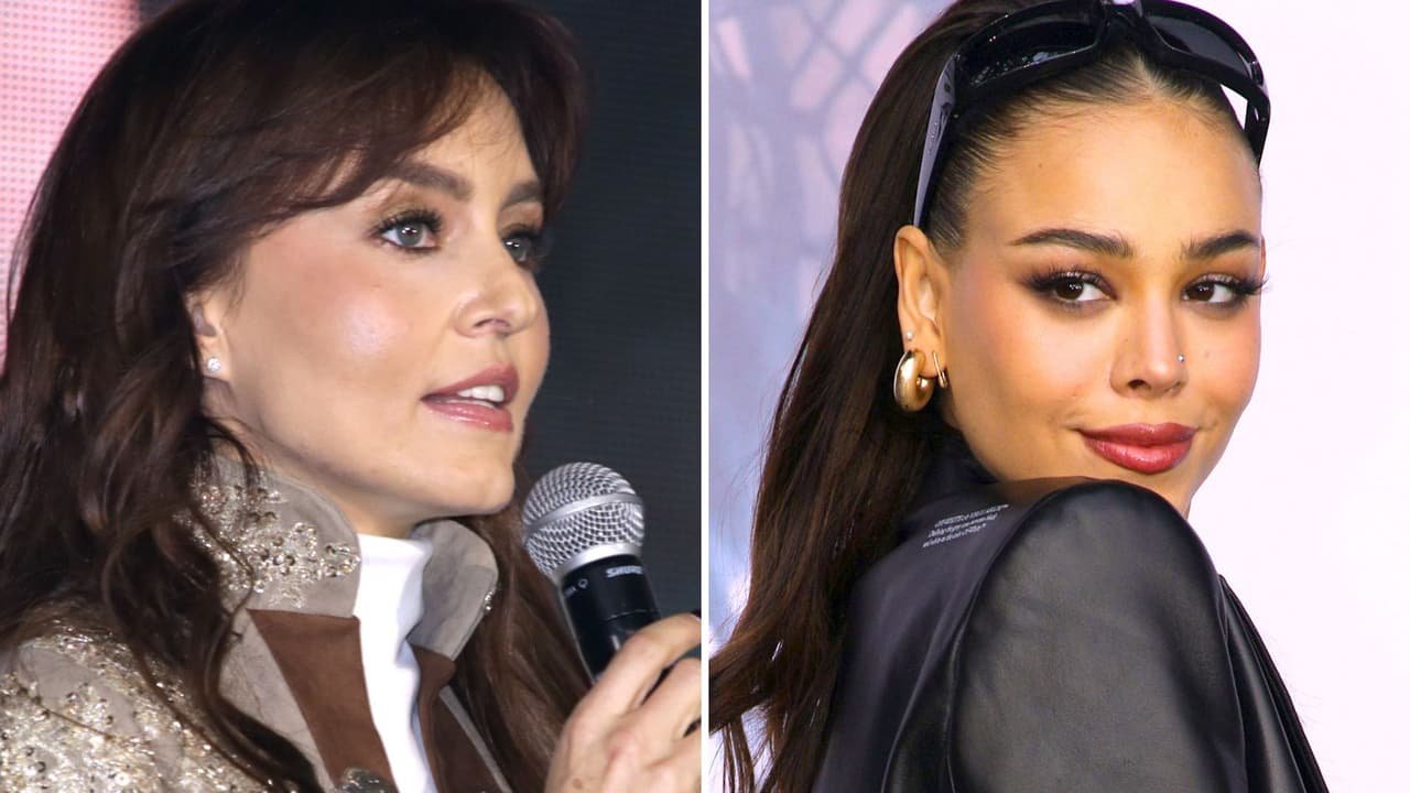 Angelique Boyer reacciona a meme sobre ‘Teresa’ que publicó Danna, ¿le molestó?